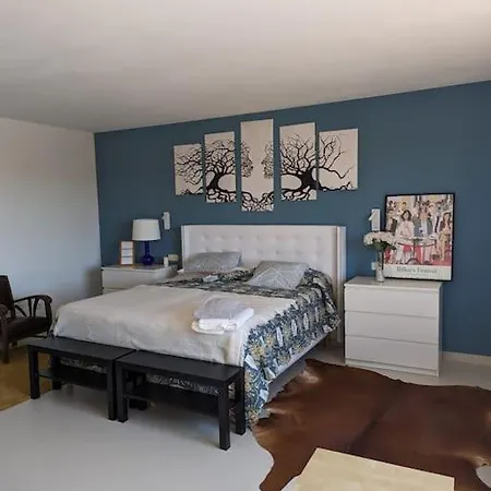 Rural De Lujo En Pedraza-tejadilla Chalet